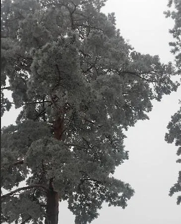 Holiday home Sumska Kuca Nada *