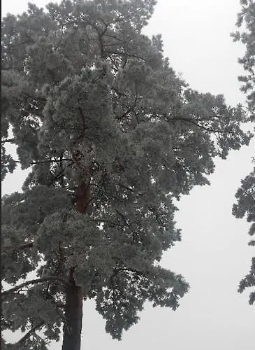 بيت للعطل Sumska Kuca Nada *