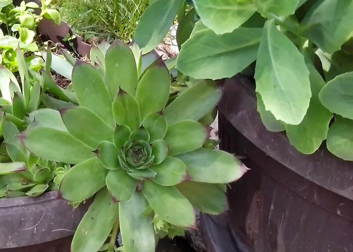 بيت للعطل Sumska Kuca Nada